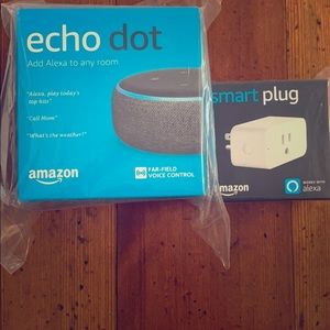 Echo Dot & Smartplug